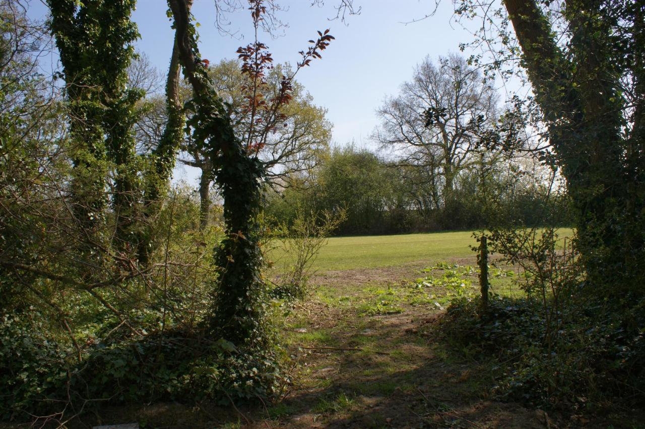 Spacious 4 Bed Family Cottage In Parkland Setting ヨーク エクステリア 写真